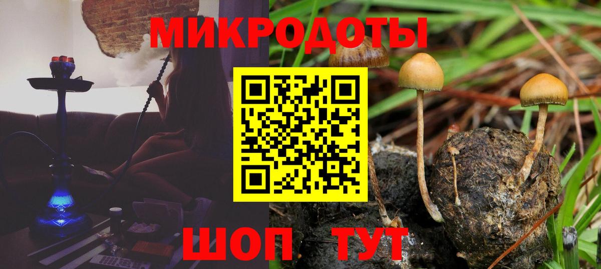 что такое наркотик  Вход с VPN  Якутск  Псилоцибиновые грибы Magic Shrooms 