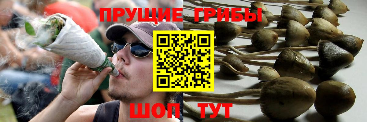 Галлюциногенные грибы прущие грибы Якутск